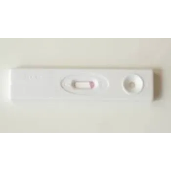  Pregnency Test